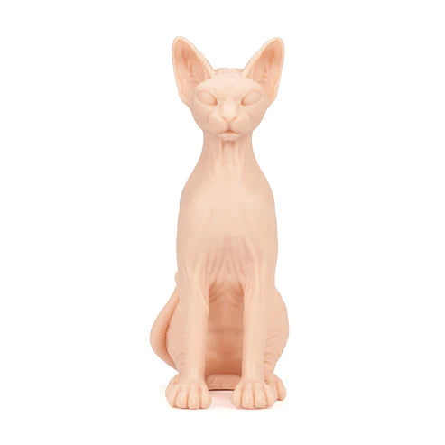 A Pound of Flesh: Naked Tattooable Cat