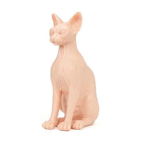 A Pound of Flesh: Naked Tattooable Cat